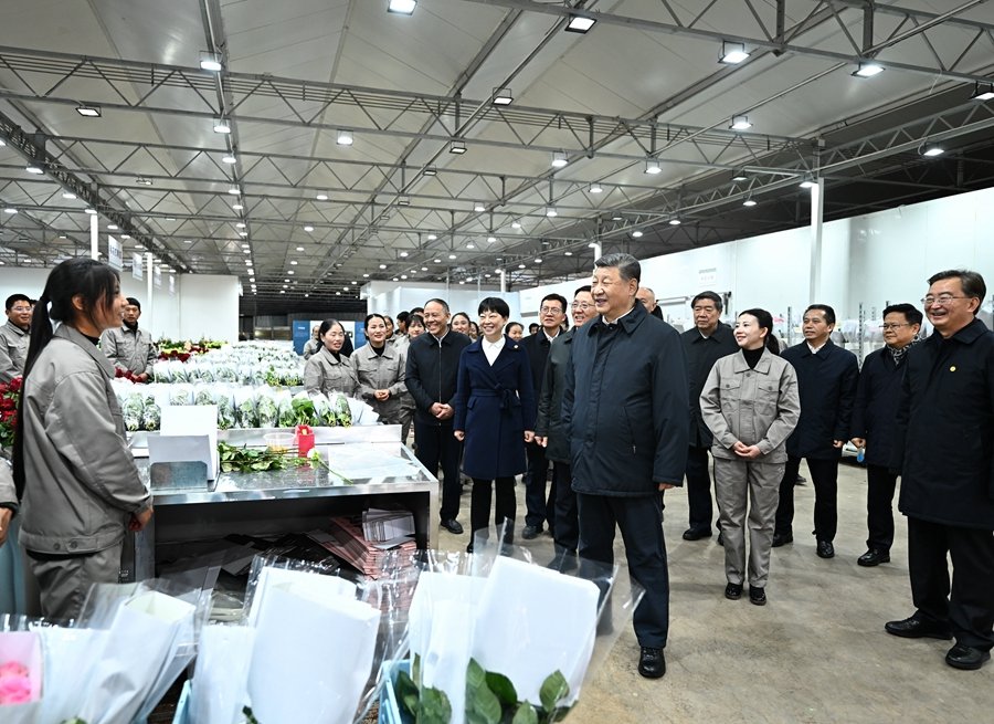 新华社昆明3月20日电 中共中央总书
