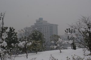 乐鱼官网链接