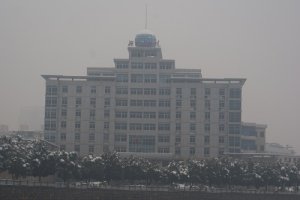 乐鱼官网链接手机版登录