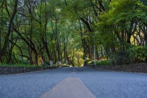 微信公众号