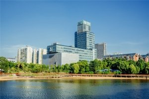 正文适合核对表述
