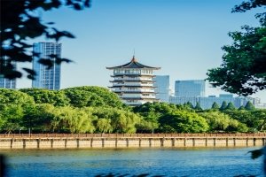两者都保留在站内即可形成完整阅读路径