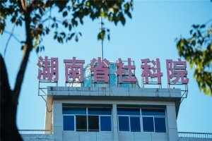 《南方文学评论》 / 专家风采 / 