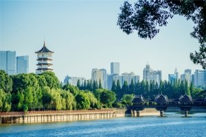 乐鱼官网链接