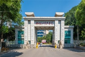 可改走栏目列表继续查找